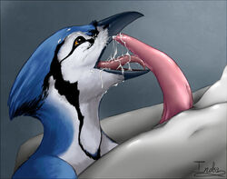 ambiguous_gender animal_genitalia animal_penis anthro anthro_on_anthro avian beakjob bird blue_jay bottlenose_dolphin cetacean cetacean_penis color corvid cum cum_in_mouth cum_inside cum_on_face dolphin duo ejaculation fellatio genital_slit interspecies licking licking_penis male male/ambiguous mammal marine open_mouth oral orgasm penis pornography sex slit tapering_penis the13thblackcat uncensored