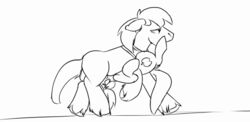 animated balls belly_riding bound braeburn_(mlp) equine feral friendship_is_magic gay horse leashed_to_genitals male male/male mammal monochrome my_little_pony oral promontory_(mlp) sidekick yaoi