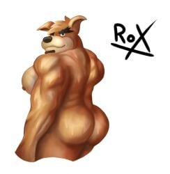 1boy anthro anthro_only ass back back_muscles bandicoot bara bara_ass bara_tiddies bara_tits barazoku beard big_ass big_butt big_muscles crash_(series) crunch_bandicoot facial_hair huge_ass male male_only marsupial muscular muscular_anthro muscular_back muscular_male orange_fur roxds93 self_upload simple_background smile smiling solo white_background