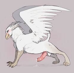 2018 avian belly_slapping blush cum digital_media_(artwork) feral gryphon hands-free male male_only orgasm presenting sailormoonfan666 solo stretching wings