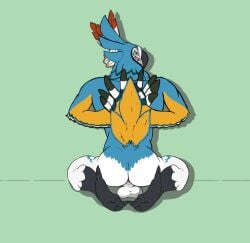 2024 absurd_res accessory anthro anthro_only anus ass avian backsack balls black_talons breath_of_the_wild feather_hands feathers feet genitals hi_res kass_(tloz) male male_only nintendo pink_anus rear_view rito solo speence_(artist) talons the_legend_of_zelda toes