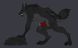 2018 animal_genitalia animal_penis anthro anthro_only balls black_fur canine canine_penis digital_media_(artwork) domination erection fur furry grey_background hi_res knot male mammal no_humans nude penis precum sheath simple_background solo vixlries were werewolf