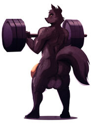 2018 ass backsack balls big_balls big_penis black_coat_(commissarspuddy) canine male male_only mammal muscular nude penis riendonut solo sweat weights wolf