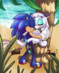 anthro beach cum duo fan_(disambiguation) female geekoflewds geekoflimn geekoflove male mostly_nude penis pocky_the_shiba_inu pussy seaside sex sonic_(series) sonic_the_hedgehog straight