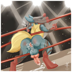 lucario from nintendo by aaron (artist)