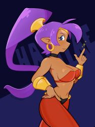 shantae (character) from shantae by eli deadguy