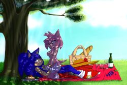 amy rose from sonic (series) by bluechika