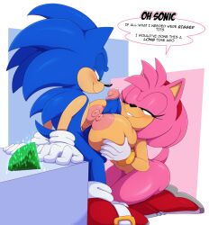 amy rose from sega by bigdon1992