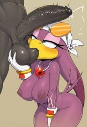 wave the swallow from sega