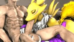 3d animated digimon fellatio furry human human_penetrating hyper_penis loop male oral penis renamon scrungusbungus sex