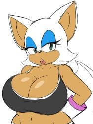 rouge the bat from sega by momiji (artist)