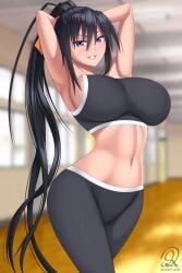 akeno himejima from high school dxd by rocky-ace