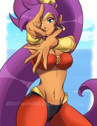 shantae (character) from shantae by datwondoude