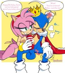 amy rose from sega by senshion