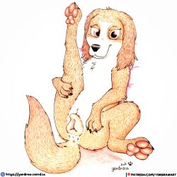 wanda (the queen's corgi) from patreon by yordraw