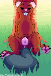 animal_genitalia beaver beaver_tail bedroom_eyes buckteeth digital_media_(artwork) dithering female feral food forest genitals hi_res hrelterskrelter mammal narrowed_eyes pixel_(artwork) plant rodent seductive solo teeth tree vulva