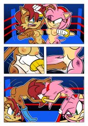 amy_rose anthro archie_comics black_eyes blue_eyes box breasts brown_body brown_fur catfight chipmunk container demichan duo eulipotyphlan female female/female fight footwear fur genitals green_eyes ground_squirrel hair handwear handwear_and_footwear_only hedgehog hi_res humanoid mammal medium_breasts nipples nonsexual nonsexual_nudity nude nude_female pink_body pink_fur pulling_hair punch red_hair rodent sally_acorn sciurid sega sonic_(series) sonic_the_hedgehog_(archie) sonic_the_hedgehog_(comics) sonic_the_hedgehog_(series) squirrel touching_hair vulva