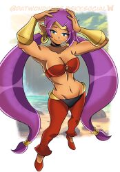 shantae (character) from shantae by datwondoude