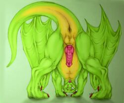 aku_(artist) animal_genitalia animal_penis anus balls dragon feral hexdragon_(character) knot male male_only penis ridged_penis simple_background solo