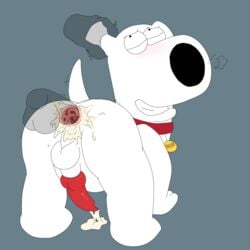 2018 anal anal_sex ass balls blush brian_griffin canine cum cum_inside erection family_guy feral fur knot magzol male mammal open_mouth penetration penis semi-anthro sex smile tongue yaoi zoophilia