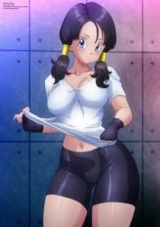 videl from dragon ball by zel-sama