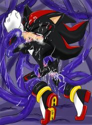 anal anthro bound cum cum_in_ass cum_in_mouth furry garugirosonicshadow gay male oral rape restrained sega shadow_the_hedgehog sonic_(series) tears tentacle tentacle_on_male tentacle_rape