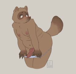 alue_nsfw animal_crossing animal_genitalia animal_humanoid animal_penis blush brown_eyes brown_fur furry furry_only furry_tail male_only showing_penis solo solo_male tanuki tom_nook