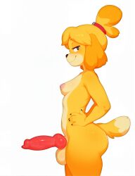 isabelle (animal crossing) from animal crossing by breedorbred