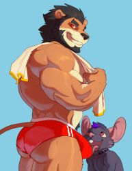 2026 alca alcander_(wakatanka4) anthro ass back_muscles biceps big_ears black_collar black_hair black_nose blue_background bristol buckteeth bulge clothed clothing collar deltoids duo felid forearm_muscles fur furgonomic_speedo furgonomic_swimwear furgonomics grey_body grey_fur hair hi_res highlights_(coloring) kneeling lion looking_at_viewer looking_back looking_back_at_viewer male male/male mammal murid murine muscular muscular_anthro muscular_male muscular_thighs open_mouth orange_body orange_fur pantherine pecs purple_highlights rat red_clothing red_eyes red_speedo red_swimwear rodent rodent_ears simple_background smile speedo speedo_only swimwear tail tail_through_underwear teeth tongue tongue_out topless towel towel_on_shoulder triceps