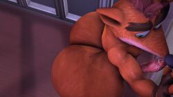 1boy 3d 3d_(artwork) 3d_model anthro ass bandicoot big_ass brown_eyebrows crash_(series) crash_bandicoot erect_penis erection fingerless_gloves fur furry furry_male furry_only gay green_eyes male male_only marsupial orange_fur penis red_hair shinyagaia simple_background solo source_filmmaker tagme tan_fur two_tone_fur veiny_penis video_games