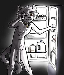 2023 :3 appliance bell bell_collar big_penis black_background casual caught chest_tuft collar collar_only crotch_tuft digital_drawing_(artwork) digital_media_(artwork) domestic_cat egg felid feline felis flaccid foreskin fridge fur genitals gradient_background grey_body grey_fur humanoid_genitalia humanoid_penis jam_(artist) kitchen_appliance light lighting long_penis looking_at_viewer mammal milk navel night nipples nude partially_retracted_foreskin penis restricted_palette rubbing_eyes simple_background skinny tail tail_between_legs tired tired_eyes tuft white_body white_fur yellow_eyes