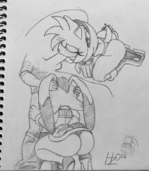 amy rose from sega by havoczo