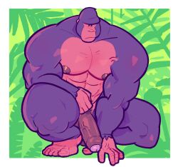 abs anthro ape balls barefoot biceps casual_nudity deltoids erection feet foreskin fur genitals gorilla haplorhine humanoid_genitalia humanoid_hands humanoid_penis male mammal manly milkvislon muscular muscular_anthro muscular_male nipples nude outside pecs penis primate solo