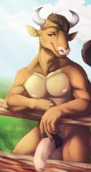 2018 anthro balls beezlebumawoken bovine brown_eyes brown_fur brown_hair cattle digital_media_(artwork) erection fur hair horn humanoid_penis looking_at_viewer male male_only mammal muscular nipples nude outside penis pubes smile solo uncut