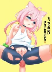 after_vaginal ahoge animal_ears bare_arms bare_shoulders bike_shorts blue_eyes blush breasts cat_ears collarbone cum cum_on_pussy darktrified female hair_between_eyes hair_bobbles hair_ornament heart low_twintails nekomiya_hinata nipples open_mouth penis pink_hair pov_eye_contact pussy shirt simple_background sitting small_breasts solo_focus spread_legs striped striped_legwear thighhighs torn_bike_shorts torn_clothes twintails uncensored virtual_youtuber white_shirt