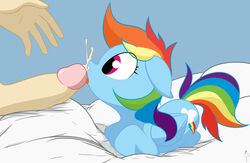 bed cum cum_in_mouth cum_inside cum_on_face cute cutie_mark duo equine erection eyelashes faceless_male feathered_wings feathers female fenix31_(artist) friendship_is_magic human humanoid_penis inside interspecies kneeling male mammal mostazathy my_little_pony penis rainbow_dash_(mlp) simple_background solo_focus straight straight_hair wings young