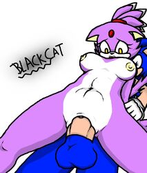 anthro blackcat blaze_the_cat breasts feline female fur furry hedgehog male mammal naked nipples nude open_mouth penis pussy sega sonic_(series) sonic_the_hedgehog stomach_bulge straight