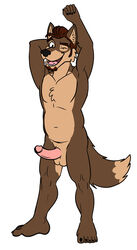 canine chris_(mapdark) erection male male_only mammal mapdark nude solo wolf