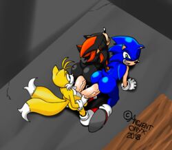 3boys anal ancient-onyx ass balls diphallia diphallism gay male male_only multi_penis multi_tail on_all_fours penis shadow_the_hedgehog sonic_(series) sonic_the_hedgehog tail tails trio