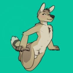 animal_genitalia animal_penis anthro balls blush canine canine_penis chest_tuft green_background jackal lundi male male_only mammal nude penis penis_tip sheath simple_background smile solo tuft