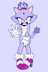 blaze the cat from sega