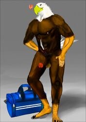 anthro avian bag bald barazoku big_(disambiguation) bird duncan eagle erection invalid_tag male male_only manly muscular penis precum