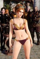 anna henrietta from cd projekt red by arcasad