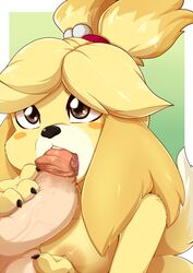 2018 animal_crossing animal_crossing_new_leaf anthro areola balls breasts canine disembodied_penis duo fellatio female hi_res human human_on_anthro humanoid_penis interspecies isabelle_(animal_crossing) male mammal nintendo oral oral_penetration oral_sex penis rainbowscreen sex shih_tzu solo_focus straight vein video_games