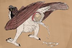 3:2 accipitriform ambiguous_fluids animal animal_genitalia avian beak bird cloaca egg egg_laying einin feathers feet feral genitals hi_res osprey solo tail tail_feathers talons toes wings