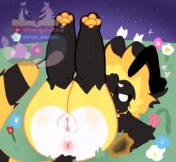 Furry Only Rule 34 Image