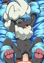 furfrou from nintendo by lonbluewolf