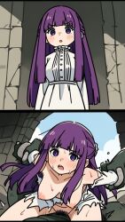 Fern (Sousou No Frieren) Rule 34 Image
