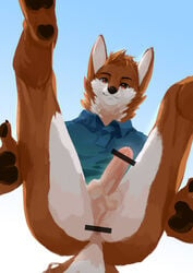 anthro anus ass balls bottomless brown_fur canine censored clothed clothing erection fur hi_res humanoid_penis leno_woof male male_only mammal pawpads penis perineum precum red_eyes shirt solo t-shirt white_fur