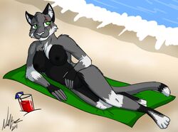 2011 alcohol amocin anthro beach beverage breasts digital_media_(artwork) feline feline female fur looking_at_viewer mammal nipples nude outside pussy sand sea seaside simple_background smile solo towel water